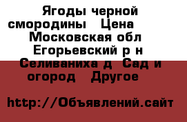 Ягоды черной смородины › Цена ­ 150 - Московская обл., Егорьевский р-н, Селиваниха д. Сад и огород » Другое   